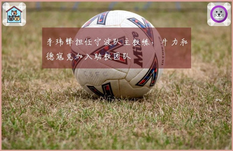 李玮锋担任宁波队主教练，牛力和德寇克加入助教团队