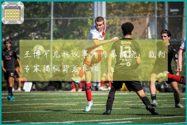 王博罕见抗议事件内幕揭晓，裁判专家揭秘背后真相